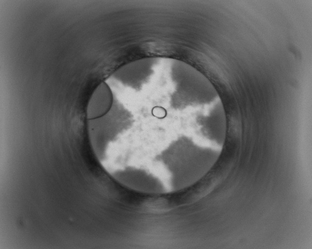 X0000116020271200912312159