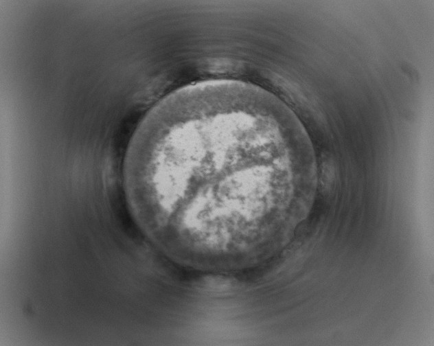 X0000116020272200912312159