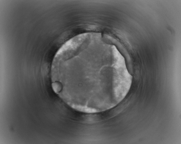 X0000116020273200912312159