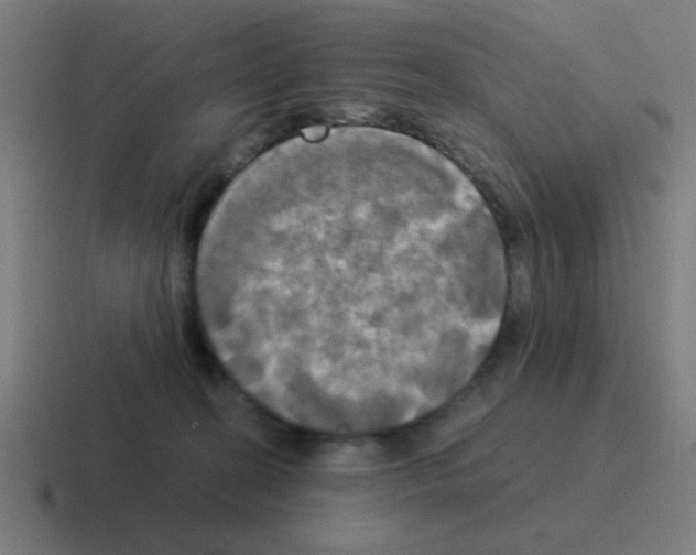 X0000116020274200912312159