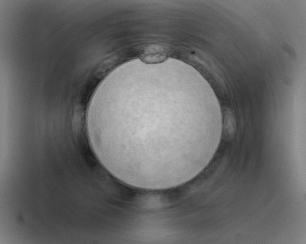 X0000116020276200912312159