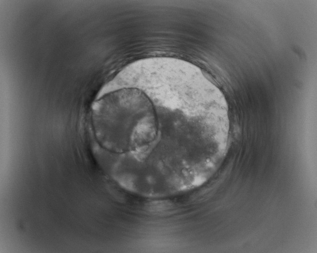 X0000116020277200912312159