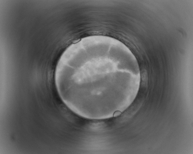 X0000116020278200912312159