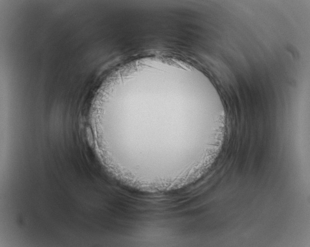 X0000116020279200912312159