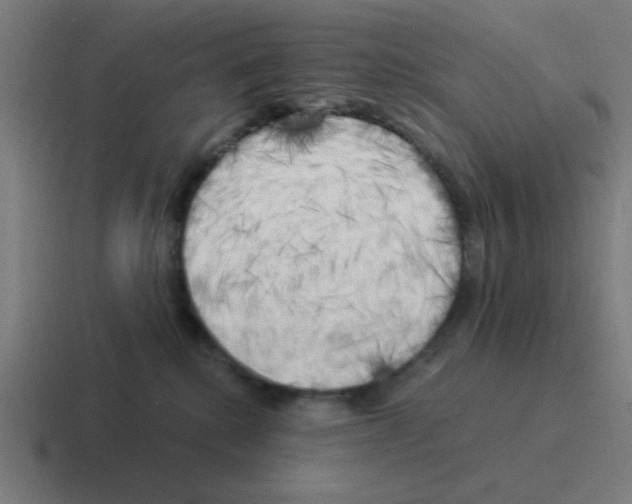 X0000116020280200912312159