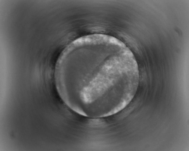 X0000116020281200912312159