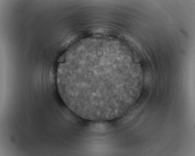 X0000116020282200912312159