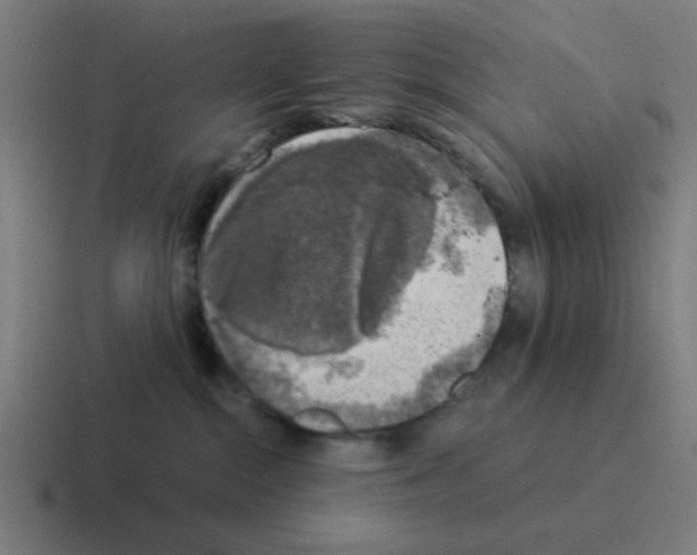 X0000116020284200912312159