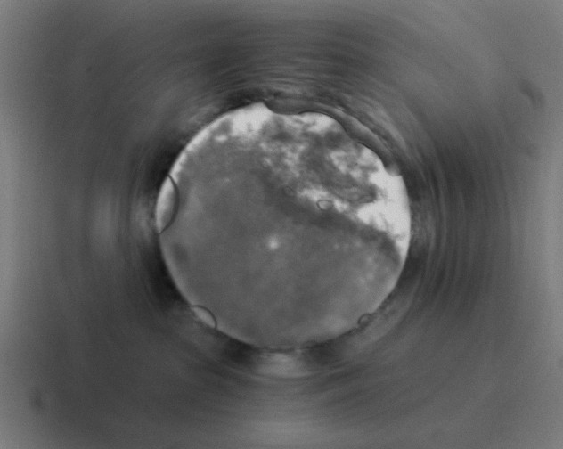 X0000116020285200912312159