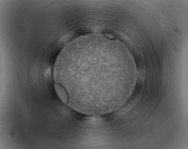 X0000116020286200912312159