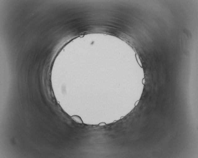 X0000116020289200912312158