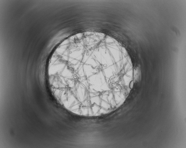 X0000116020291200912312158