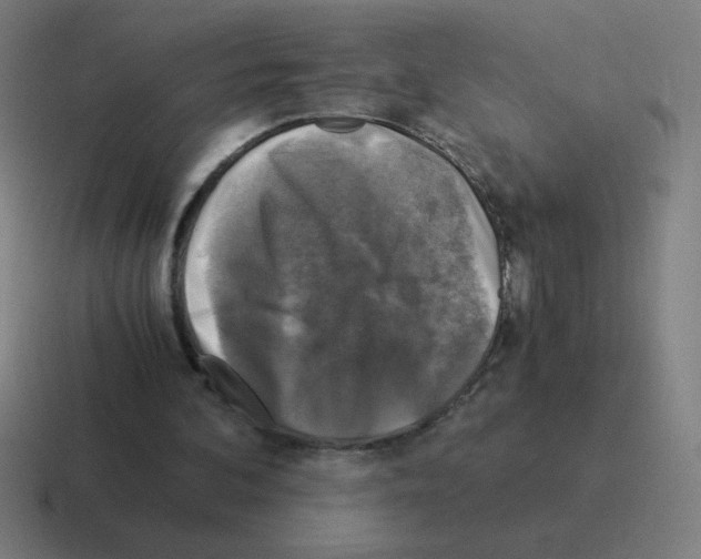 X0000116020292200912312158