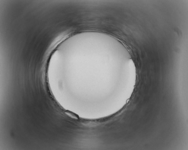 X0000116020293200912312158