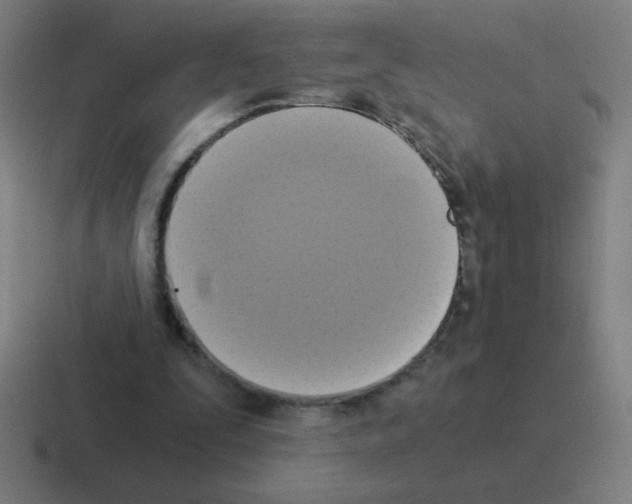 X0000116020295200912312158