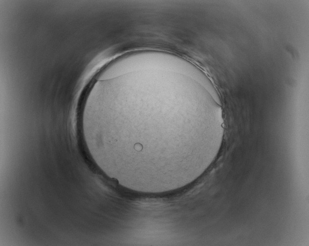 X0000116020296200912312158