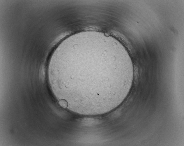 X0000116020298200912312158