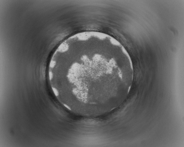 X0000116020299200912312158