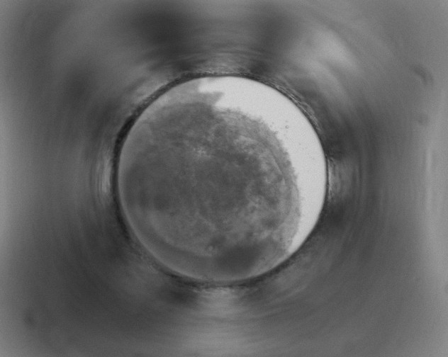 X0000116020301200912312158