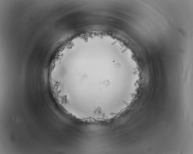 X0000116020302200912312158