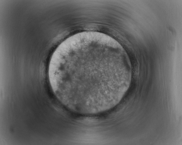 X0000116020303200912312158