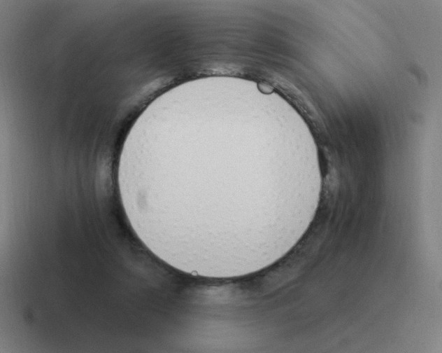 X0000116020306200912312158