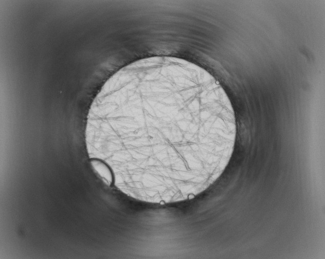 X0000116020307200912312158