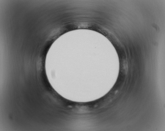 X0000116020311200912312158