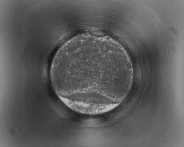 X0000116020312200912312158