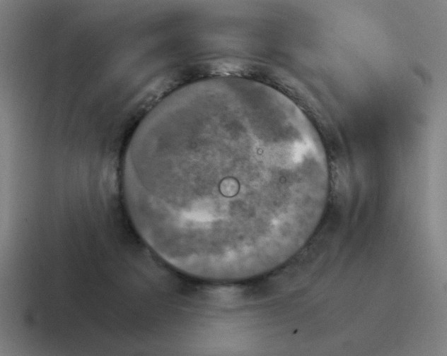 X0000116020313200912312158