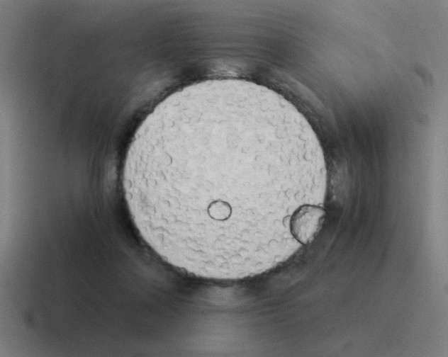 X0000116020314200912312158