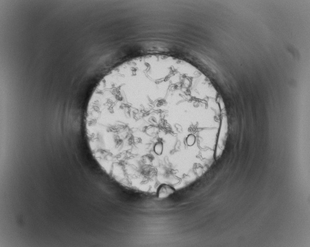 X0000116020315200912312158