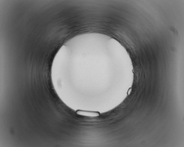 X0000116020316200912312158