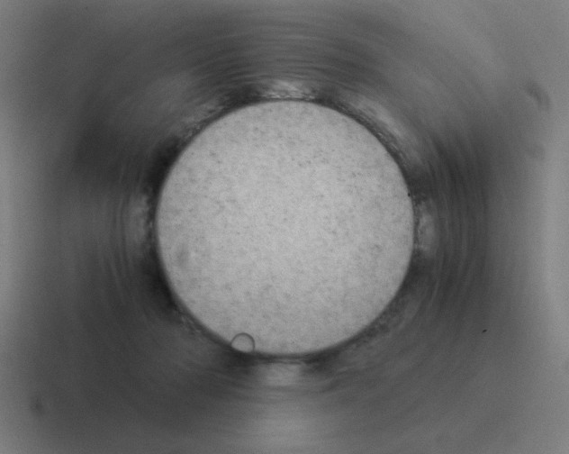 X0000116020318200912312158