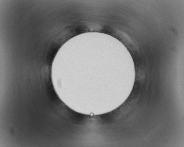 X0000116020321200912312158