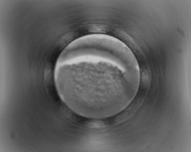 X0000116020322200912312158