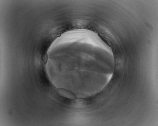 X0000116020324200912312158