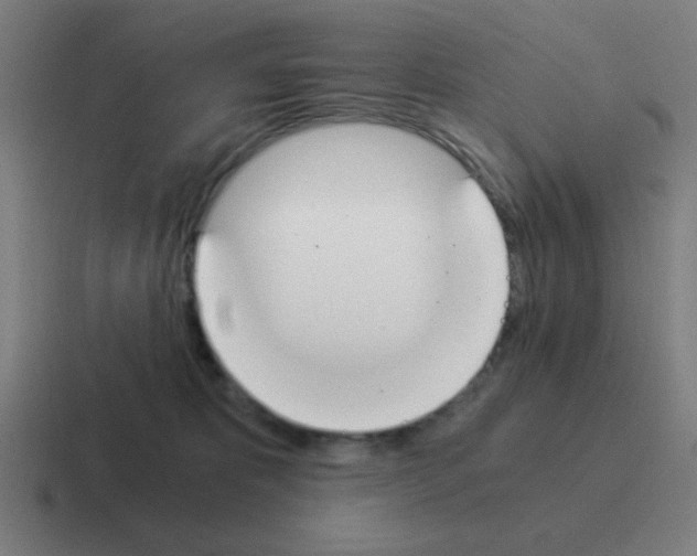 X0000116020325200912312158