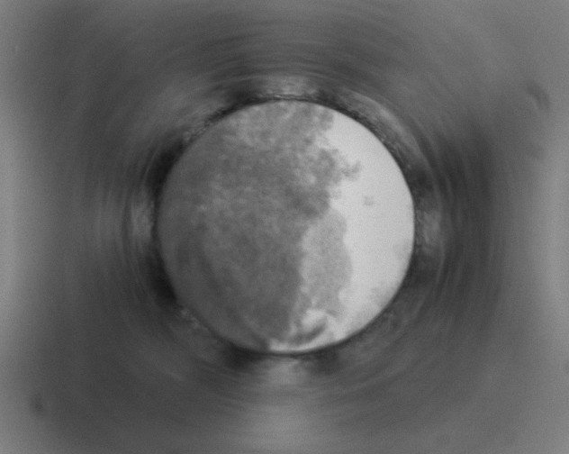 X0000116020326200912312158