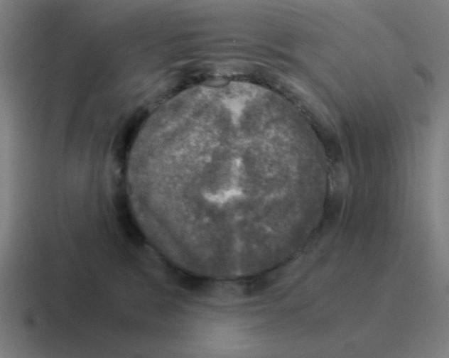 X0000116020327200912312158