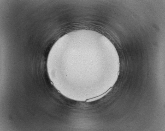 X0000116020328200912312158