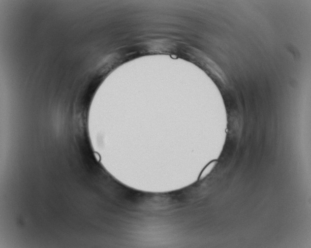 X0000116020329200912312158