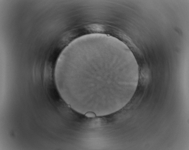 X0000116020330200912312158