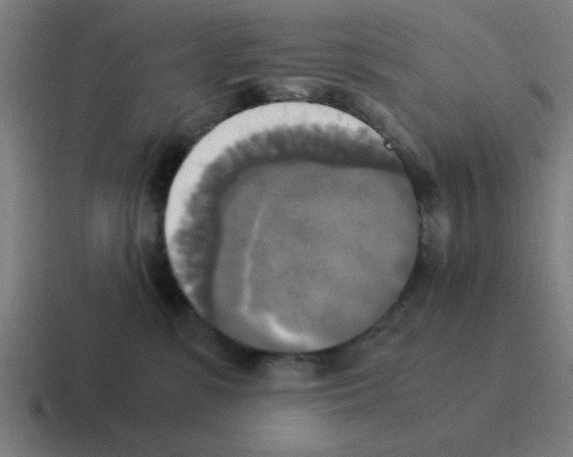 X0000116020331200912312158