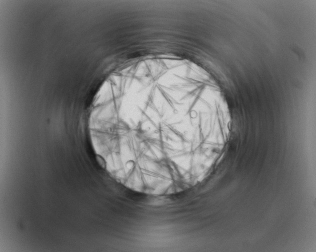 X0000116020333200912312158