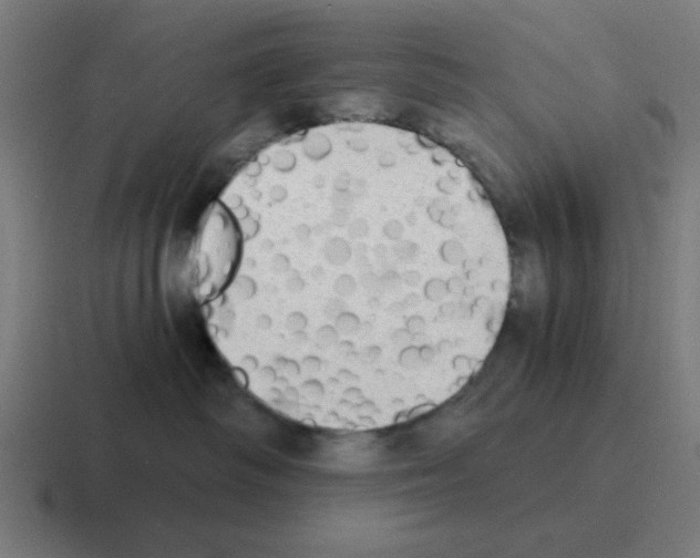 X0000116020334200912312158