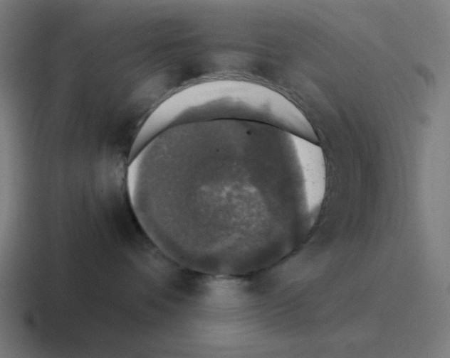 X0000116020336200912312158