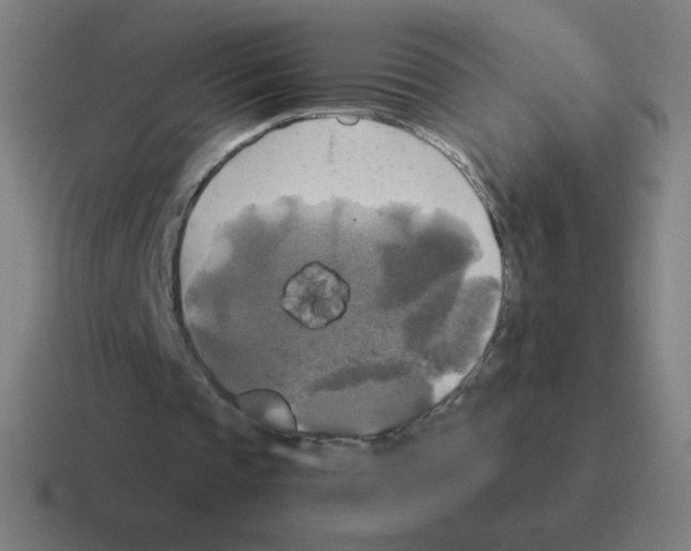 X0000116020337200912312157