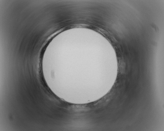 X0000116020338200912312157