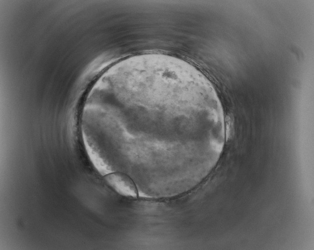 X0000116020339200912312157